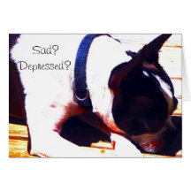 Boston Terrier card..Sad depressed? Happy Hour