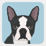 Cute Cartoon Boston Terrier / French Bulldog Round Sticker | Zazzle