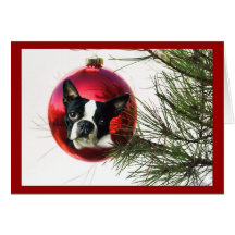 Boston Terrier Christmas Card Ball