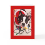 Boston Terrier Christmas Lights Santa Greeting Car Greeting Card
