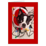 Boston Terrier Christmas Lights Santa Greeting Car Greeting Card