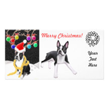Boston Terrier Christmas Photo Card