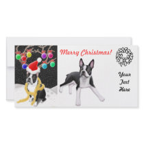 Boston Terrier Christmas Photo Card