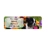 Boston Terrier Custom Return Address Label