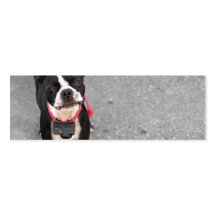 Boston Terrier Dog Business Cards