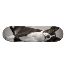 Boston Terrier Dog Skateboard