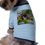 Boston Terrier Dog Tee Shirt