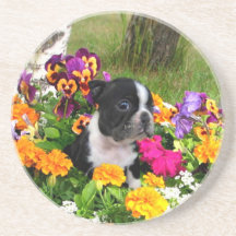 Boston Terrier Drink Coasters