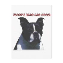 Boston Terrier:  Floppy Ears are Cool! Post Card