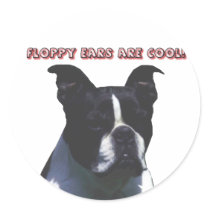 Boston Terrier:  Floppy Ears are Cool! Round Stickers