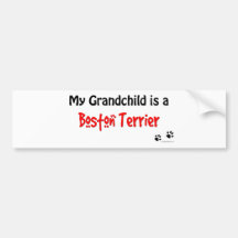 Boston Terrier Grandchild Bumper Sticker