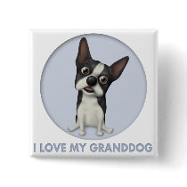 Boston Terrier Granddog