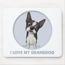Boston Terrier Granddog