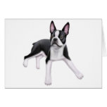 Boston Terrier Greeting Card