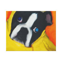 Boston Terrier in a yellow rain coat Canvas Print