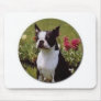 Boston Terrier in the Garden Mousepad