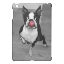 Boston Terrier iPad Case Case For The iPad Mini