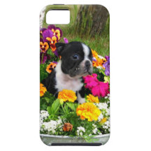 Boston Terrier iPhone 5 Case