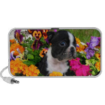 Boston terrier laptop speaker