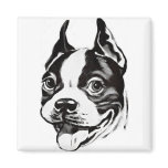 Boston Terrier Magnet