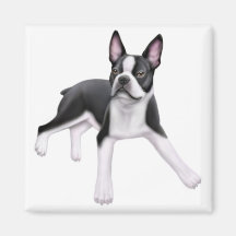 Boston Terrier Magnet