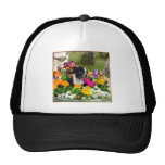 Boston Terrier Mesh Hat