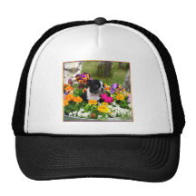 Boston Terrier Mesh Hat