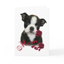Boston Terrier  Mom Card