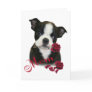 Boston Terrier  Mom Card