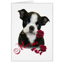 Boston Terrier  Mom Card