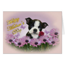 Boston Terrier Mother's Day Card