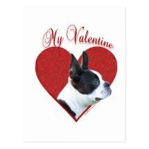 Boston Terrier My Valentine Postcard