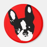 Boston Terrier Pop Art Magnets