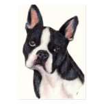 Boston Terrier Portrait ACEO Art Trading Cards Business Card