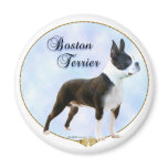 Boston Terrier Portrait Magnets