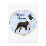 Boston Terrier Portrait Postcard