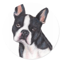 Boston Terrier Portrait Stickers