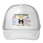 Boston Terrier Property Laws 4 Trucker Hat