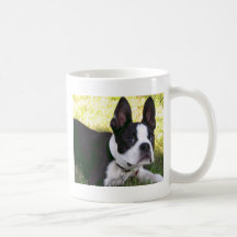Boston Terrier Pup Coffee Mug