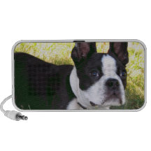 Boston Terrier Pup Portable Speakers