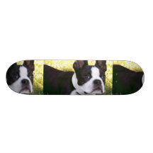 Boston Terrier Pup Skateboard