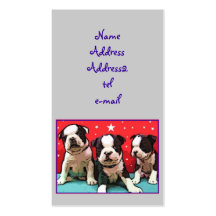 Boston Terrier puppies business card