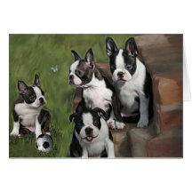 Boston Terrier Puppies Cards