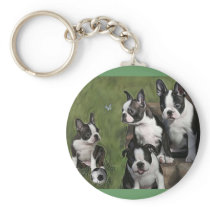 Boston Terrier Puppies Keychain