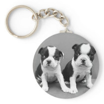 Boston Terrier Puppies keychain