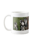 Boston Terrier Puppies Mug