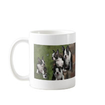 Boston Terrier Puppies Mug