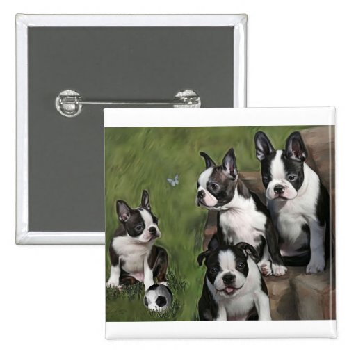 Boston Terrier Puppies Pins