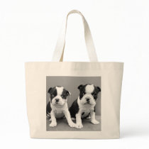 Boston Terrier Puppies tote bag