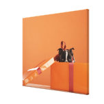 Boston terrier puppy in gift box canvas prints